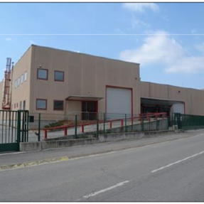 FOTO-NOTICIA-PIKOLIN